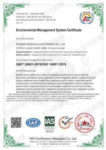 Environmental Management System Certification 