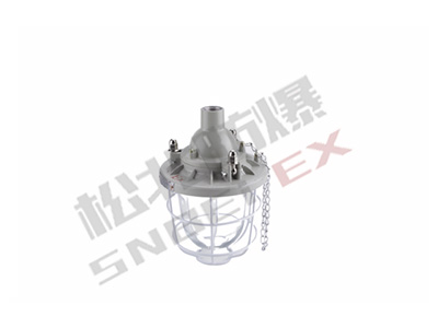 BCD_200 Series Explosion-proof lights